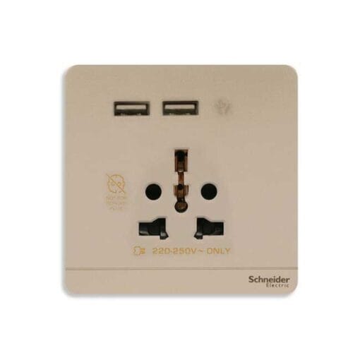 Ổ cắm Schneider AvatarOn (1 ổ cắm + 2 USB) - Ảnh 2
