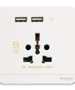 Ổ cắm Schneider AvatarOn (1 ổ cắm + 2 USB)